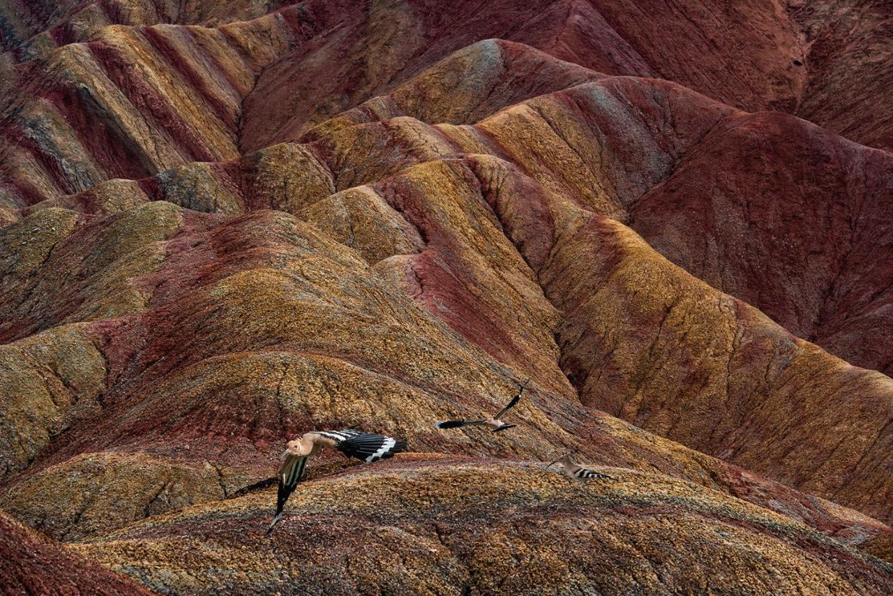 Kaoshan Tent Zhangye Buitenkant foto