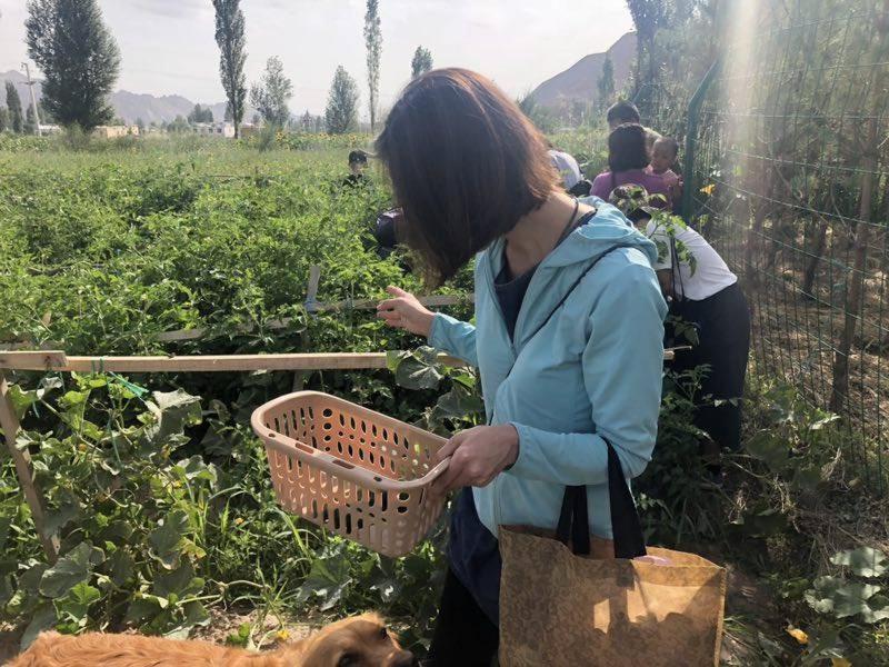 Kaoshan Tent Zhangye Buitenkant foto